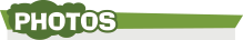 Météo