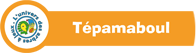 T�pacap