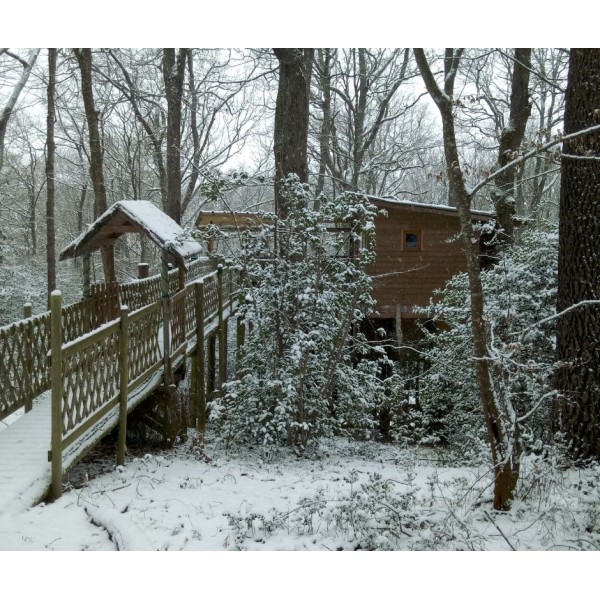 Offre de fin d'année