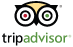 Trip advisor